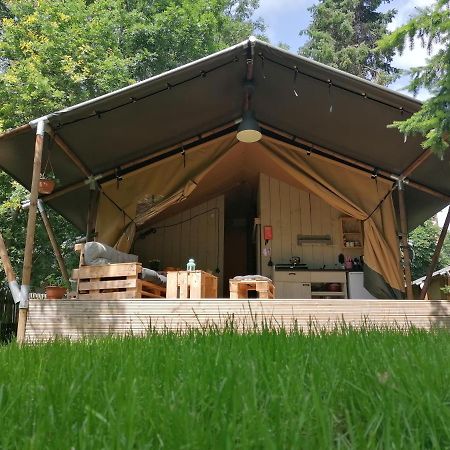 Отель Gutshof Tda-Lohma Langenleuba-Niederhain Экстерьер фото