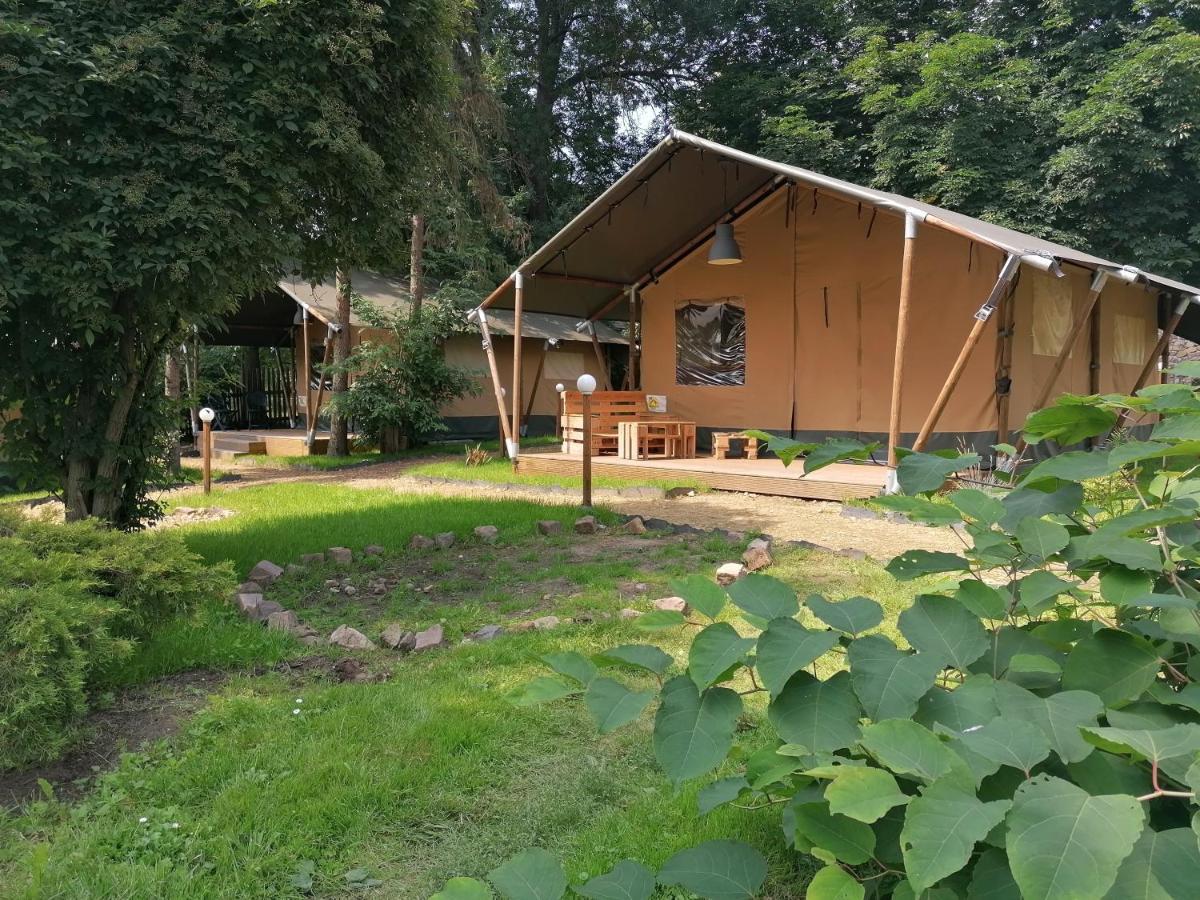 Отель Gutshof Tda-Lohma Langenleuba-Niederhain Экстерьер фото